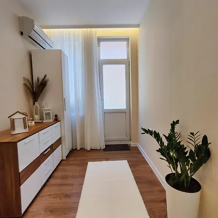 The Modern Life With Terrace *