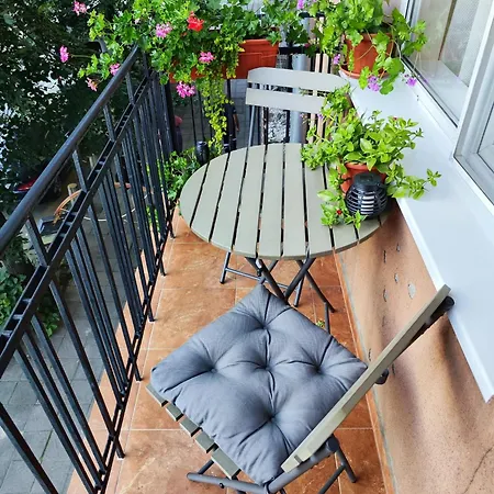 The Modern Life With Terrace *