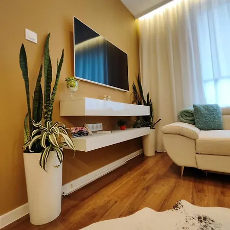 The Modern Life With Terrace